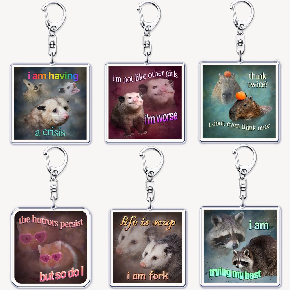 Tech Accessories Bag - Divertente Possum Criceto Procione Gatto Meme